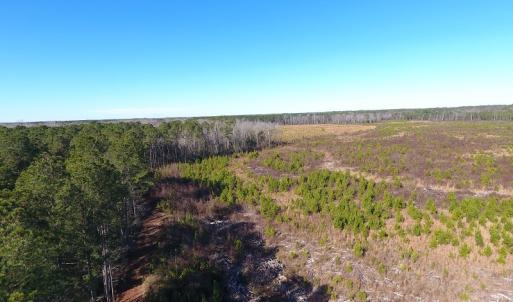 Photo #37 of Off Garland Highway, Garland, NC 278.0 acres
