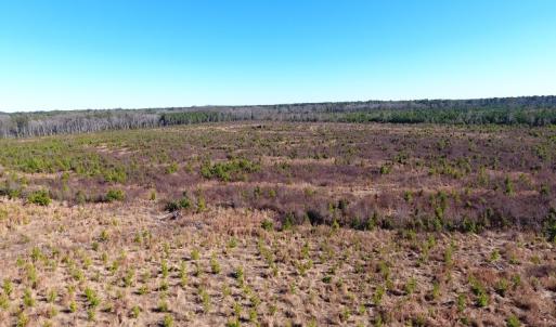 Photo #38 of Off Garland Highway, Garland, NC 278.0 acres