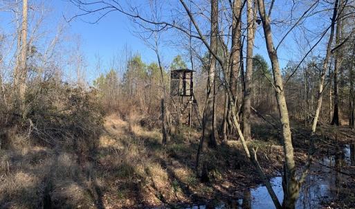 Photo #39 of Off Garland Highway, Garland, NC 278.0 acres