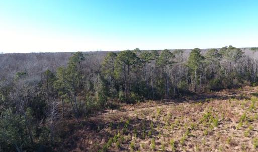 Photo #41 of Off Garland Highway, Garland, NC 278.0 acres