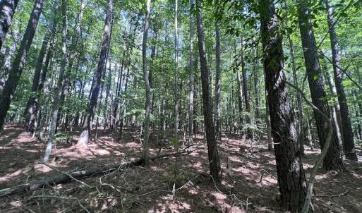 Photo #13 of SOLD property in 110 Beaver Trail, Littleton, NC 1.0 acres