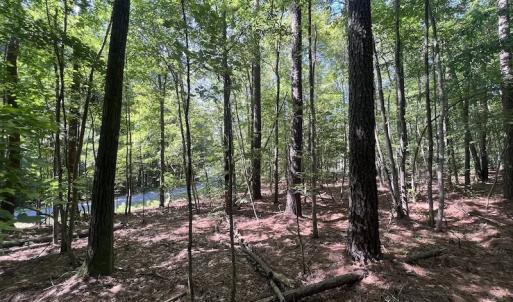 Photo #14 of SOLD property in 110 Beaver Trail, Littleton, NC 1.0 acres