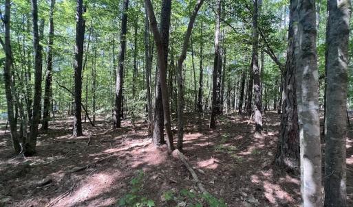 Photo #15 of SOLD property in 110 Beaver Trail, Littleton, NC 1.0 acres