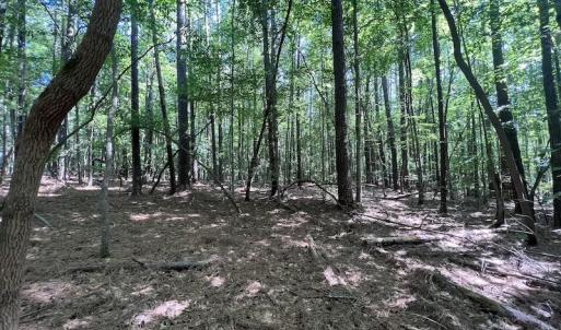 Photo #16 of SOLD property in 110 Beaver Trail, Littleton, NC 1.0 acres