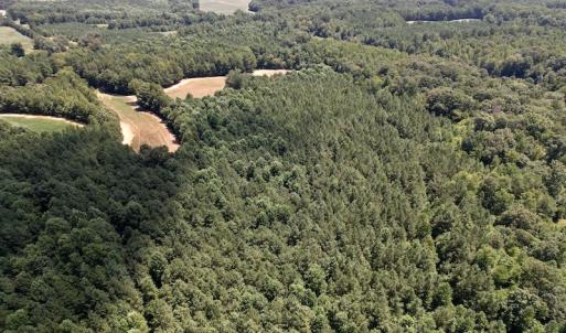 Photo #11 of SOLD property in Off Savage Road,  Spring Hope , NC 200.0 acres