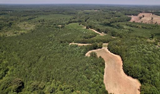 Photo #13 of Off Savage Road,  Spring Hope , NC 200.0 acres