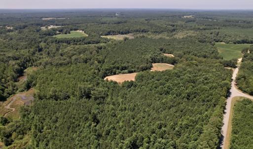 Photo #14 of Off Savage Road,  Spring Hope , NC 200.0 acres
