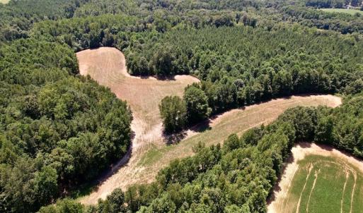 Photo #17 of Off Savage Road,  Spring Hope , NC 200.0 acres