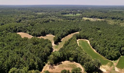 Photo #18 of Off Savage Road,  Spring Hope , NC 200.0 acres