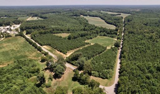Photo #19 of Off Savage Road,  Spring Hope , NC 200.0 acres