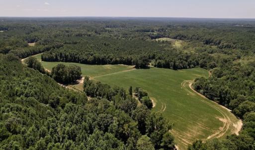 Photo #3 of Off Savage Road,  Spring Hope , NC 200.0 acres