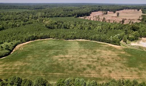 Photo #22 of Off Savage Road,  Spring Hope , NC 200.0 acres