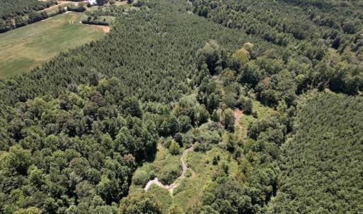 Photo #26 of Off Savage Road,  Spring Hope , NC 200.0 acres