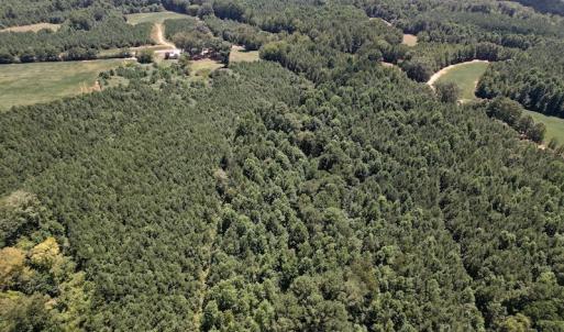 Photo #28 of Off Savage Road,  Spring Hope , NC 200.0 acres