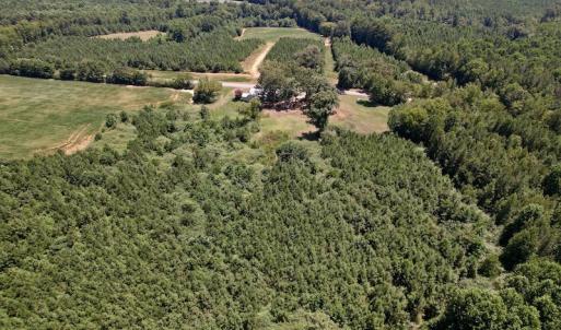 Photo #29 of Off Savage Road,  Spring Hope , NC 200.0 acres
