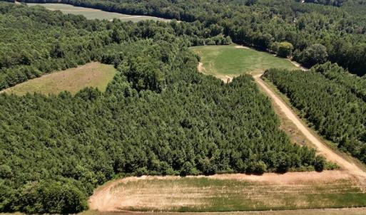 Photo #32 of Off Savage Road,  Spring Hope , NC 200.0 acres