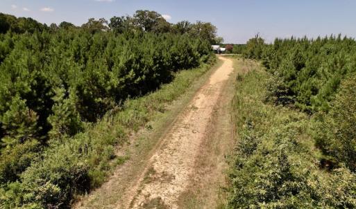 Photo #39 of Off Savage Road,  Spring Hope , NC 200.0 acres