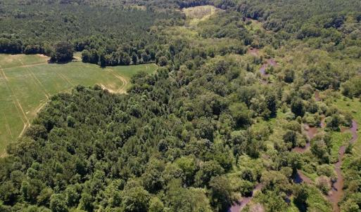 Photo #5 of Off Savage Road,  Spring Hope , NC 200.0 acres