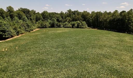 Photo #40 of Off Savage Road,  Spring Hope , NC 200.0 acres