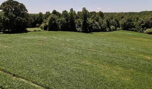 Photo #41 of Off Savage Road,  Spring Hope , NC 200.0 acres