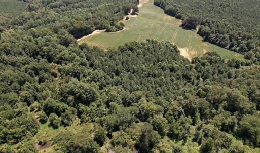 Photo #6 of Off Savage Road,  Spring Hope , NC 200.0 acres
