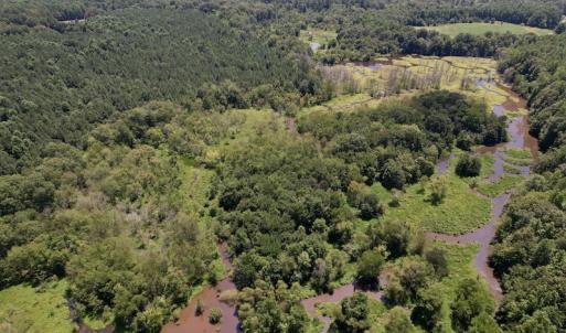 Photo #7 of Off Savage Road,  Spring Hope , NC 200.0 acres