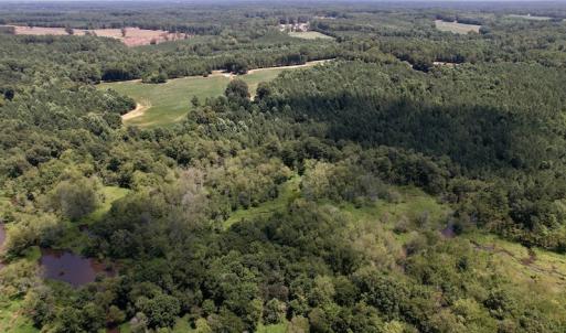 Photo #9 of Off Savage Road,  Spring Hope , NC 200.0 acres