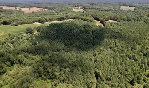 Photo #10 of Off Savage Road,  Spring Hope , NC 200.0 acres