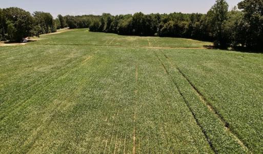 Photo #42 of Off Savage Road,  Spring Hope , NC 200.0 acres
