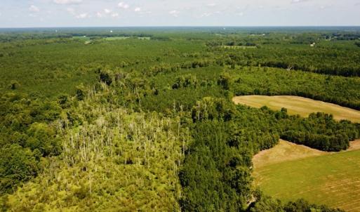 Photo #2 of SOLD property in Off Courtland Rd , Emporia, VA 54.5 acres
