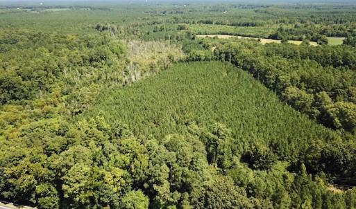 Photo #7 of SOLD property in Off Courtland Rd , Emporia, VA 54.5 acres