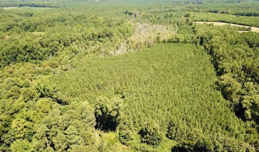 Photo #8 of SOLD property in Off Courtland Rd , Emporia, VA 54.5 acres