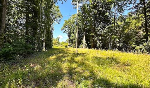 Photo #9 of SOLD property in Off Courtland Rd , Emporia, VA 54.5 acres