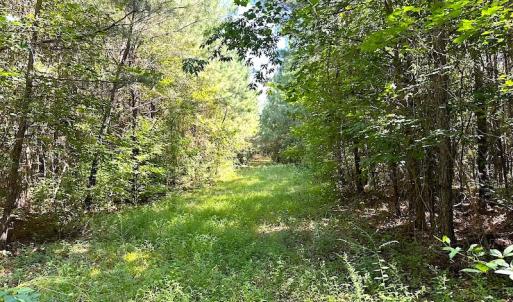 Photo #10 of SOLD property in Off Courtland Rd , Emporia, VA 54.5 acres