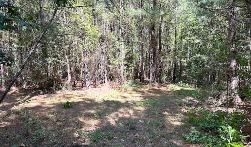 Photo #14 of SOLD property in Off Courtland Rd , Emporia, VA 54.5 acres