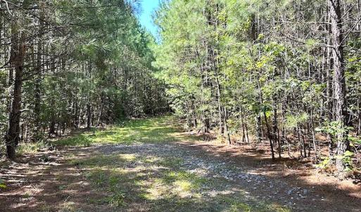 Photo #15 of SOLD property in Off Courtland Rd , Emporia, VA 54.5 acres