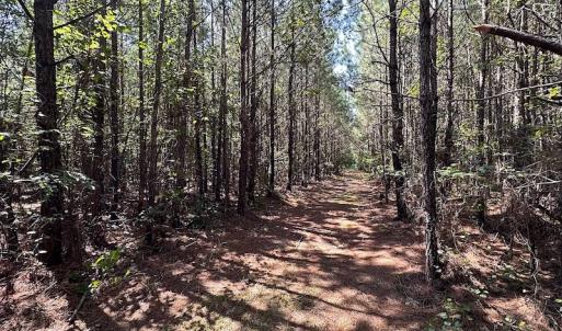 Photo #18 of SOLD property in Off Courtland Rd , Emporia, VA 54.5 acres