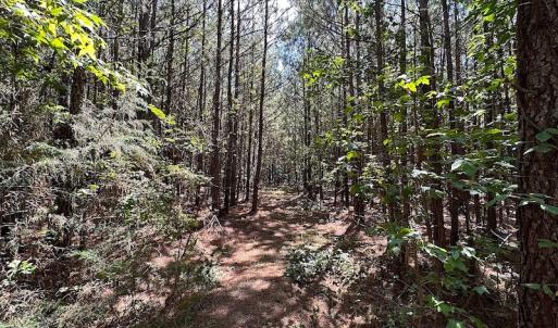 Photo #24 of SOLD property in Off Courtland Rd , Emporia, VA 54.5 acres