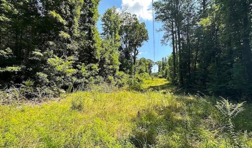 Photo #25 of SOLD property in Off Courtland Rd , Emporia, VA 54.5 acres