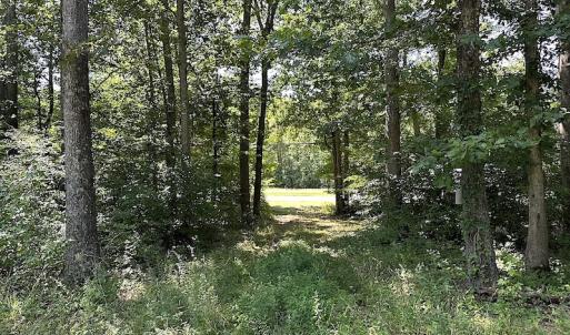 Photo #26 of SOLD property in Off Courtland Rd , Emporia, VA 54.5 acres