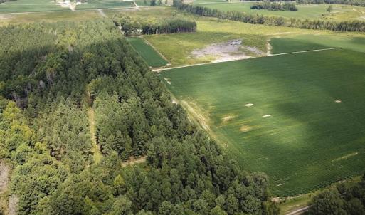 Photo #2 of Off Quarry Rd , Emporia, VA 11.7 acres