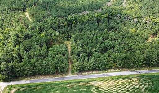 Photo #4 of Off Quarry Rd , Emporia, VA 11.7 acres