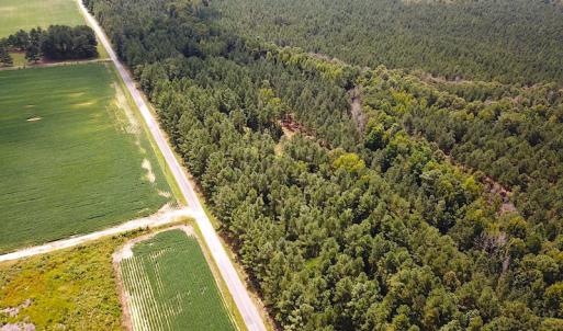 Photo #6 of Off Quarry Rd , Emporia, VA 11.7 acres