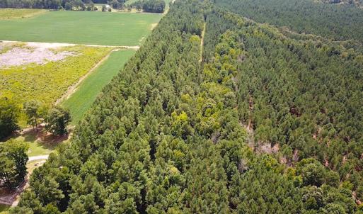 Photo #7 of Off Quarry Rd , Emporia, VA 11.7 acres