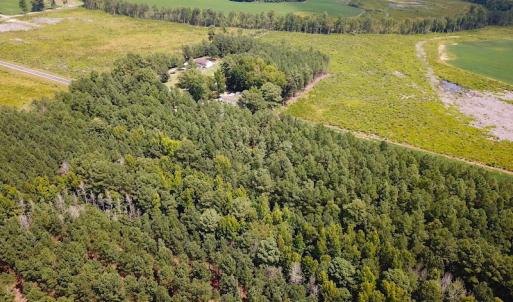 Photo #8 of Off Quarry Rd , Emporia, VA 11.7 acres