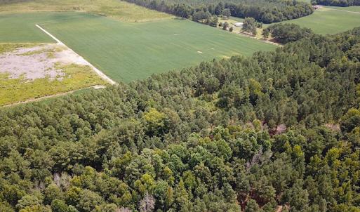 Photo #9 of Off Quarry Rd , Emporia, VA 11.7 acres