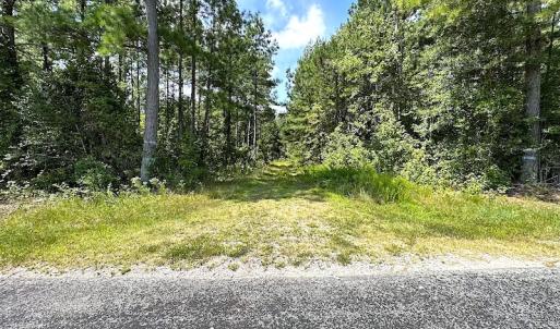 Photo #10 of Off Quarry Rd , Emporia, VA 11.7 acres