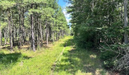 Photo #11 of Off Quarry Rd , Emporia, VA 11.7 acres