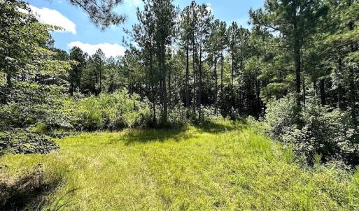 Photo #12 of Off Quarry Rd , Emporia, VA 11.7 acres