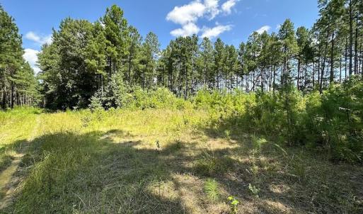 Photo #13 of Off Quarry Rd , Emporia, VA 11.7 acres